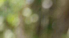 Ileana García, senadora por Florida