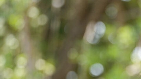 Ileana García, senadora por Florida