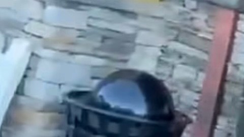 Redadas SFV 01/29/26