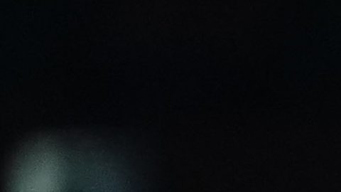 Ciudad de México,14 de abril de 2021. Director Técnico, durante el juego de vuelta de los Octavos de Final de la Liga de Campeones de la Concacaf 2021, entre las Aguilas del América de México y el Olimpia, de Honduras, celebrado en el estadio Azteca. Foto: Imago7/Alejandra Suárez