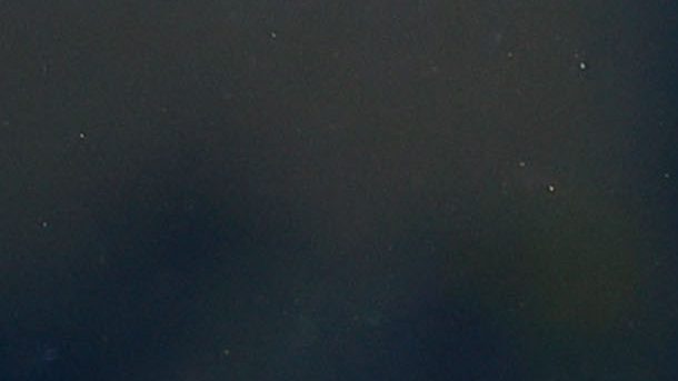 Ciudad de México, 1 de septiembre de 2024. Fernando Tapia en festejo, durante el partido correspondiente a la jornada 6 del torneo Apertura 2024 de la Liga BBVA MX, entre los Pumas de la UNAM y los Tigres de la UANL, realizado en el Estadio Olímpico Universitario. Foto: Imago7/ Eloísa Sánchez