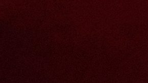 El "Chepo" estuvo durante un proceso al mando de El Tri.