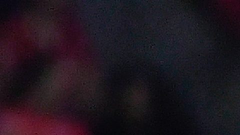 Toluca, Estado de México, 30 de noviembre de 2024. Henry Martín en festejo de gol, durante el partido de vuelta de los Cuartos de Final del torneo Apertura 2024 de la Liga BBVA MX, entre los Diablos Rojos del Toluca y las Águilas del América, celebrado en el estadio Nemesio Diez. Foto: Imago7/ Arturo Hernández