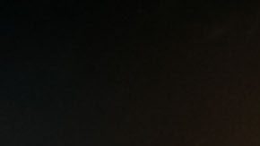 Jardine busca su cuarto trofeo de la Liga MX.