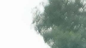 Ciudad de México, 3 de diciembre de 2025. Mateusz Bogusz, durante el partido correspondiente a la ida de las Semifinales del torneo Apertura 2025 de la Liga BBVA MX, entre la Máquina Celeste del Cruz Azul y los Tigres de la UANL, realizado en el estadio Olímpico Universitario. Foto: Imago7 / Diego Padilla