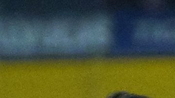 Berterame es uno de los extranjeros que se ha consolidado más en la Liga MX.