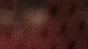 Tijuana, Baja California, 9 de enero de 2026. , durante el partido correspondiente a la jornada 1 del torneo Clausura 2026 de la Liga BBVA MX, entre los Xolos de Tijuana y las Águilas del América, realizado en el estadio Caliente. Foto: Imago7/Alejandro Gutiérrez Mora