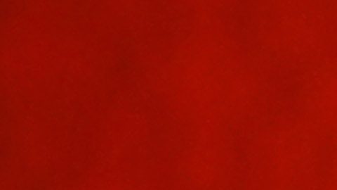 Fidalgo tiene más de 200 partidos en el fútbol mexicano.