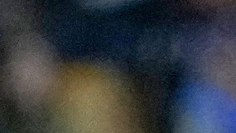 San Nicolás de los Garza, Nuevo León, 14 de enero de 2026. Portigoles, durante el partido correspondiente a la jornada 2 del torneo Clausura 2026 de la Liga BBVA MX, entre los Tigres de la UANL y los Pumas de la UNAM, realizado en el estadio Universitario. Foto: Imago7/ Andrea Jiménez