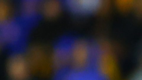 Mohamed acumula dos victorias y dos empates en lo que va de torneo.