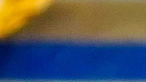 juninho celebra el gol de cabeza con el que le dio un punto a su equipo en casa.