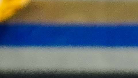 juninho celebra el gol de cabeza con el que le dio un punto a su equipo en casa.