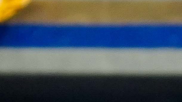 juninho celebra el gol de cabeza con el que le dio un punto a su equipo en casa.