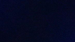 El América tiene tres jornadas sin marcar.