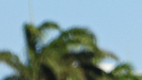 Germán Berterame celebra el gol con el que el Tri sacó el triunfo en Bolivia.