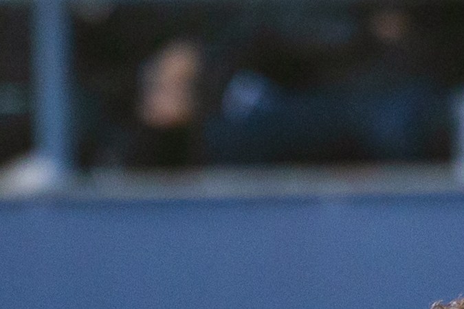 San Luis Potosí, San Luis Potosí, 31 de enero de 2026. , durante el partido correspondiente a la jornada 4 del torneo Clausura 2026 de la Liga BBVA MX , entre el Atlético San Luis y las Chivas Rayadas del Guadalajara, realizado en el estadio Libertad Financiera. Foto: Imago7/ Hugo Martínez