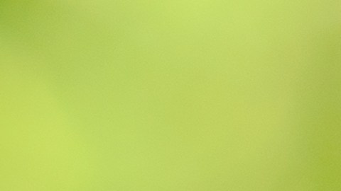 Impuesto sobre la renta y estados que no cobran