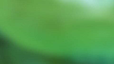 Inflación de alimentos desde 2022