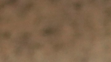 Grupos latinos piden al Congreso prohibir uso de militares en redadas migratorias