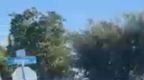 Agentes federales intentaron arrestar a dos jardineros el sábado 10 de enero en Downey.