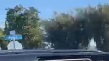 Agentes federales intentaron arrestar a dos jardineros el sábado 10 de enero en Downey.