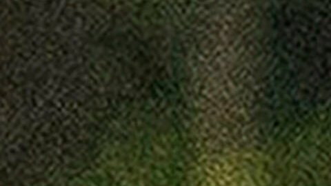 “Posturas reflejan una visión errática de la política exterior estadounidense”, afirmó John Bolton.