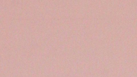 José Eduardo Derbez Aitana