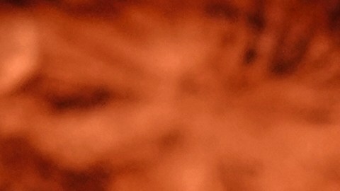 Kendall Jenner pone fin a los rumores sobre su orientación sexual