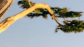 La brutal potencia del Corvette ZR1X 2026