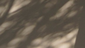 A voter arrives to cast their ballot at a participating Flex Voting Center set up for one day only at the offices of the Coalition for Humane Immigrant Rights, CHIRLA, in Los Angeles Saturday, Nov. 5, 2022. All 50 states are hosting midterm elections Tuesday, Nov. 8, that will determine the balance of power in Washington and state capitals across the nation. (AP Photo/Damian Dovarganes)
