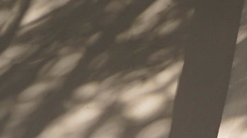 A voter arrives to cast their ballot at a participating Flex Voting Center set up for one day only at the offices of the Coalition for Humane Immigrant Rights, CHIRLA, in Los Angeles Saturday, Nov. 5, 2022. All 50 states are hosting midterm elections Tuesday, Nov. 8, that will determine the balance of power in Washington and state capitals across the nation. (AP Photo/Damian Dovarganes)