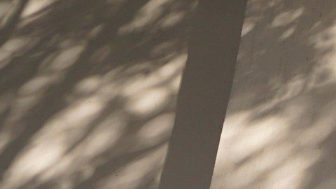 A voter arrives to cast their ballot at a participating Flex Voting Center set up for one day only at the offices of the Coalition for Humane Immigrant Rights, CHIRLA, in Los Angeles Saturday, Nov. 5, 2022. All 50 states are hosting midterm elections Tuesday, Nov. 8, that will determine the balance of power in Washington and state capitals across the nation. (AP Photo/Damian Dovarganes)
