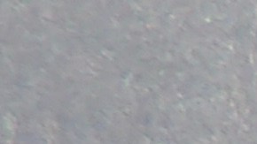 La moneda de veinticinco centavos del Bicentenario que vale $20,000