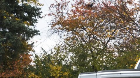 La potente e imponente F-150 Roush 2026