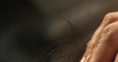 Niños nacidos de madres de 35 años o más pueden tener menos probabilidades de desarrollar alergias