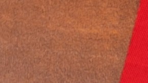 Impacto de las restricciones al aborto: aumentan riesgos de salud de mujeres embarazadas