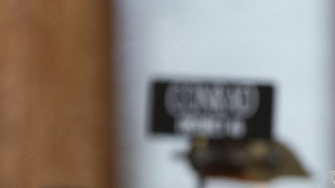 Lynne Walz, exsenadora demócrata