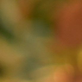 Macaulay Culkin despide a Catherine O'Hara, su "madre" de pantalla y amiga íntima