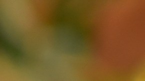 Macaulay Culkin despide a Catherine O'Hara, su "madre" de pantalla y amiga íntima