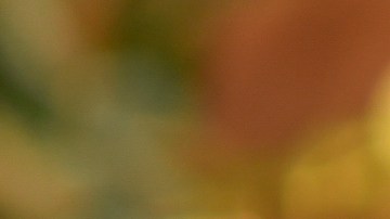 Macaulay Culkin despide a Catherine O'Hara, su "madre" de pantalla y amiga íntima