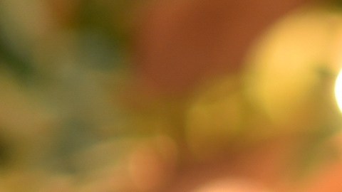 Macaulay Culkin despide a Catherine O'Hara, su "madre" de pantalla y amiga íntima