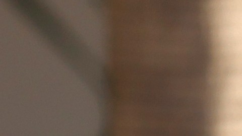 EDS NOTE: OBSCENITY - Protesters gather during a demonstration calling for an end to federal immigration enforcement operations and U.S. attacks on Venezuela, Saturday, Jan. 10, 2026, in Los Angeles. (AP Photo/Jill Connelly)