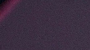 Martha Higareda Lewis Howes México Riviera Maya