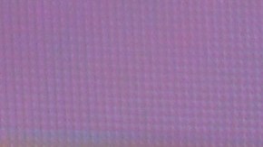 Migbelis Castellanos