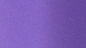 Marc Anthony y Nadia Ferreira confirman que serán papás por segunda ocasión.