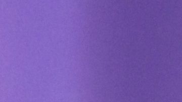 Marc Anthony y Nadia Ferreira confirman que serán papás por segunda ocasión.