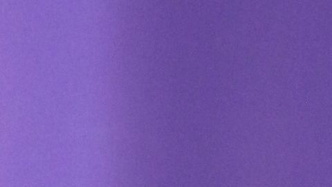 Marc Anthony y Nadia Ferreira confirman que serán papás por segunda ocasión.