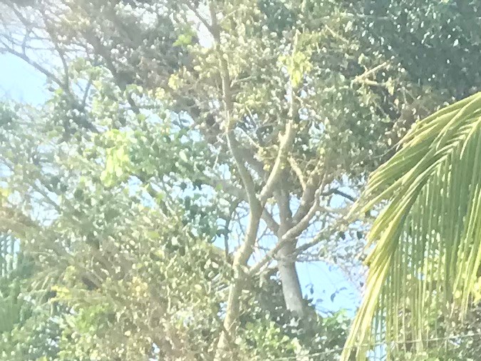 Nathaniel Lezra con su cámara en Colombia.