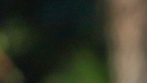 Niño llora porque compañero le dijo que Trump lo deportaría.