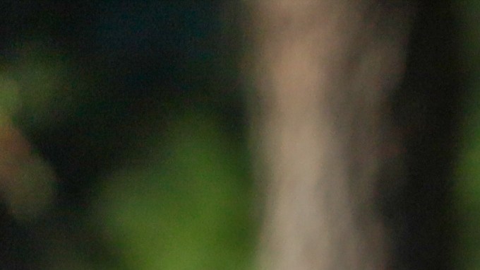 Niño llora porque compañero le dijo que Trump lo deportaría.